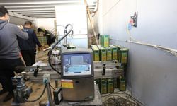 Tonlarca sahte zeytinyağı, zirai ilaç ve kozmetik ürün ele geçirildi