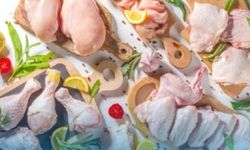 GIDA MALZEMESİ SATIN ALINACAKTIR