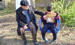 Başıboş köpekleri toplayın