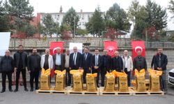176 BİN 900 KİLOGRAM MERCİMEK TOHUMU DAĞITILDI
