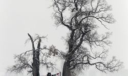 21'inci Devlet Fotoğraf Yarışması sonuçlandı