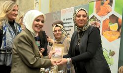 Kooperatif kurmak isteyen 3 bin 516 kadına destek olduk