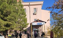 Tartıştığı 2 kardeşini öldürüp, babasını ağır yaraladı