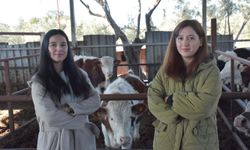 Devlet desteğiyle ata topraklarında hayvancılık yapıyorlar