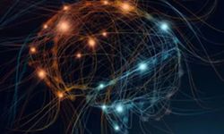 Z kuşağı, yapay zekâyı hem bir fırsat hem de bir tehdit olarak görüyor