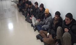11 kaçak göçmen ile 1 organizatör yakalandı