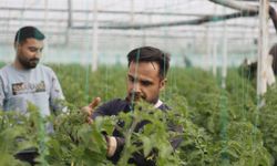 Suriyeli işçiler ülkelerine dönmekte kararlı, Antalyalı üretici düşünceli