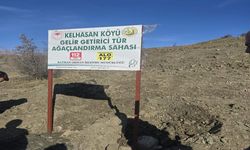 Kelhasan’a, Gelir Getirici Ağaçlandırma Projesi
