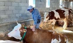 26 Aileye 6 Milyon Destek Sağlandı