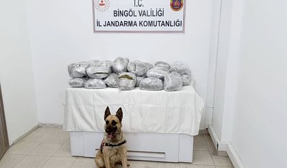 49 kilo 600 gram kubar esrar ele geçirildi