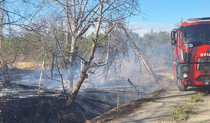 Kayısı bahçesi yangındı: Çok sayıdaki kayısı ağacı kül oldu