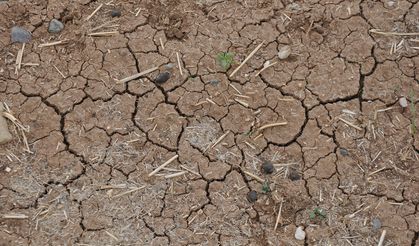 Ciddi yağış olmazsa tarımsal üretim olumsuz etkilenecek