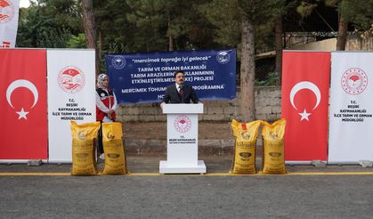 Beşiri’de Çiftçiye Büyük Destek: %75 Hibeli Mercimek Tohumu Dağıtıldı