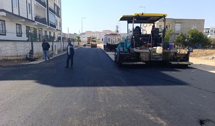 YIPRANMIŞ YOLLAR YENİDEN HAYAT BULDU
