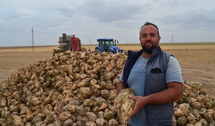 Şeker pancarında rekolte ve fiyat yüz güldürdü