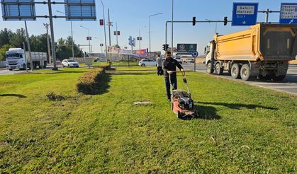 ÇİM BİÇME ÇALIŞMALARI DEVAM EDİYOR