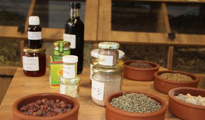 Bağışıklığa hangi bitki iyi geliyor? Zinde kalmak için ne yapmalıyız?