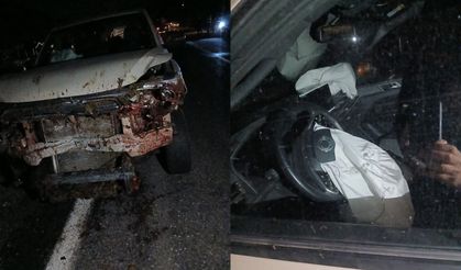 Araç koyun sürüsüne daldı 30 hayvan telef oldu