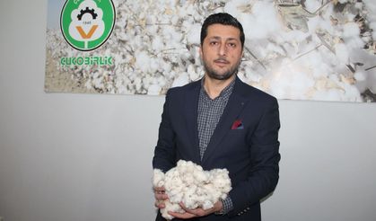 Destek artarsa pamuk alanları büyüyecek