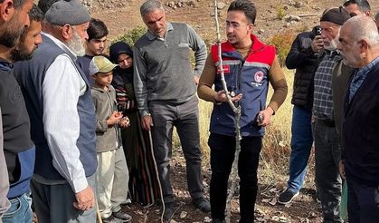 Siirt fıstığının doğru budama eğitimi verildi