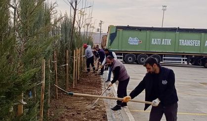 Batman’da Katı Atık Aktarma İstasyonu’nda Peyzaj Düzenlemesi