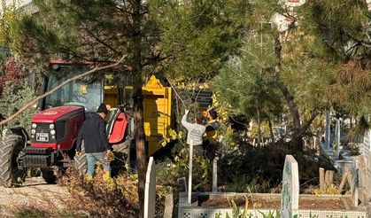 MEZARLIKLARDA PARKE ONARIMI VE AĞAÇ BUDAMA ÇALIŞMALARI BAŞLADI