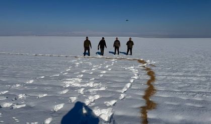 Batman'da Yaban Hayvanlarına Merhamet Eli