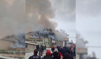 Kereste fabrikasında patlama: 5 yaralı