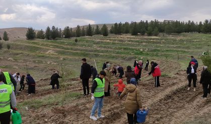 Batman’da Şiddete Karşı Fidanlar Toprakla Buluştu