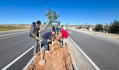 Batman’da “Yeşil Kuşak” İçin Ağaçlandırma Çalışmaları Hız Kesmeden Sürüyor
