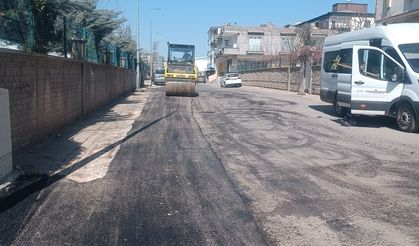 BELEDİYEDEN SOKAK SOKAK BAKIM VE ONARIM ATAĞI