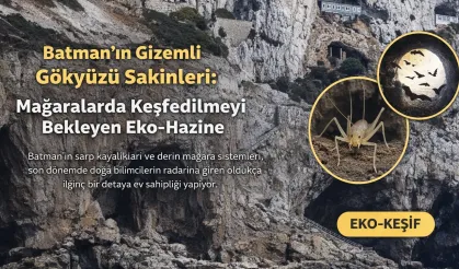 Batman’ın Gizemli Gökyüzü Sakinleri: Mağaralarda Keşfedilmeyi Bekleyen Eko-Hazine