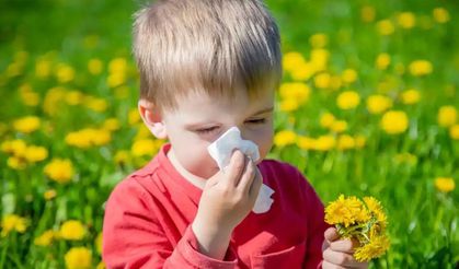 Bahar Alerjilerine Dikkat: İklim Değişikliği Şikâyetleri Artırıyor
