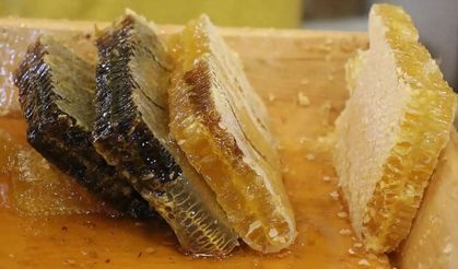 BALDA 'SAHTE' DUVARINA SON: ARICILIKTA YENİ DÖNEM BAŞLIYOR!