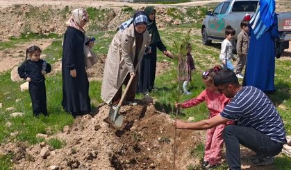 Batman’da “Bir İyilik Bir Fidan” Etkinliğiyle Toprak Yeşerdi