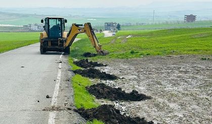 Beşiri’de 4 Bin Ağaç Toprakla Buluştu