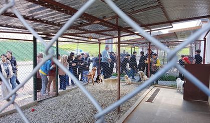 Öğrenciler Can Dostlarla Buluştu