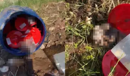 Bidon içinde 21 cenin bulunması olayı nedir, nerde oldu?