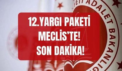 Yeni Yargı Paketi'nde af var mı, infaz düzenlemesi gelecek mi? 12. YARGI PAKETİ SON DAKİKA! (30 TAM MADDE) 12. Yargı Paketi Meclis'ten geçti mi?