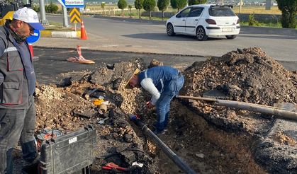 Park Ve Bahçeler Müdürlüğü’nden 6 Ayda 8 Bin 779 İşlem