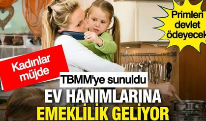 Ev Hanımlarına Devlet Destekli Emeklilik Müjdesi! Primlerin 3'te 1'ini Devlet Ödeyecek: İşte Başvuru Şartları ve Çocuk Desteği