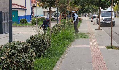 Yeşil Dokuya Estetik Görünüm