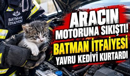 Batman’da Araç Motorunda Mahsur Kalan Yavru Kedi Kurtarıldı