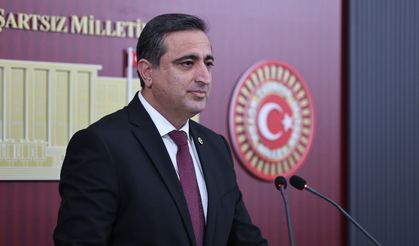Ramanlı: Erişim engelleri ifade hürriyetini zedeler