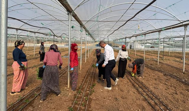 İl Başkanı Şansi, Kadın Çiftçilerle Bir Araya Geldi