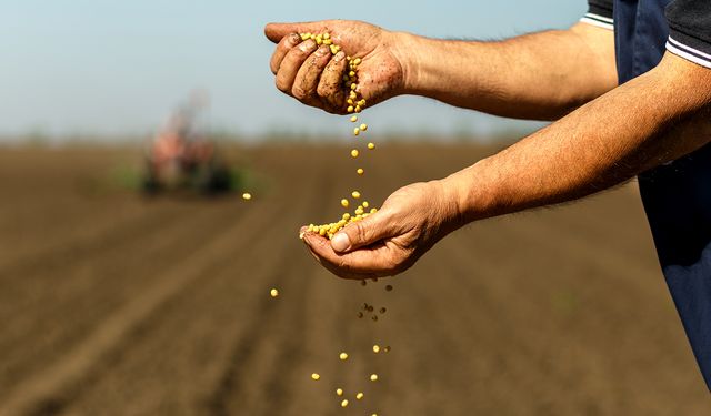 Tarım ürünleri fiyatlarında mart ayında sert artış