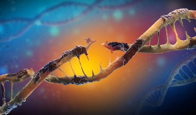 DNA’mız her gün saldırı altında!