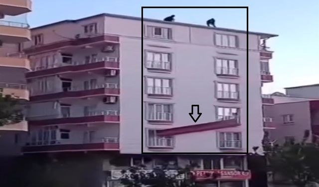 İşçiler ölüme meydan okudu. 7.katta önlem almadan metal indirdiler