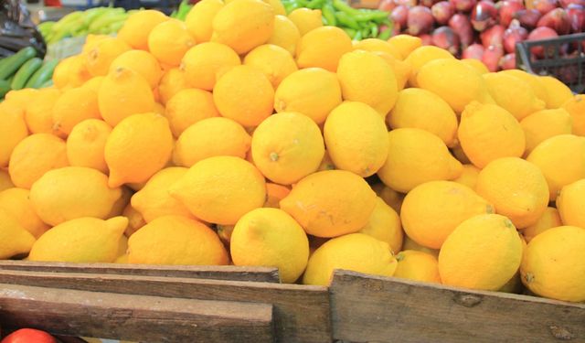 Limon ihracatı geçici olarak durduruldu