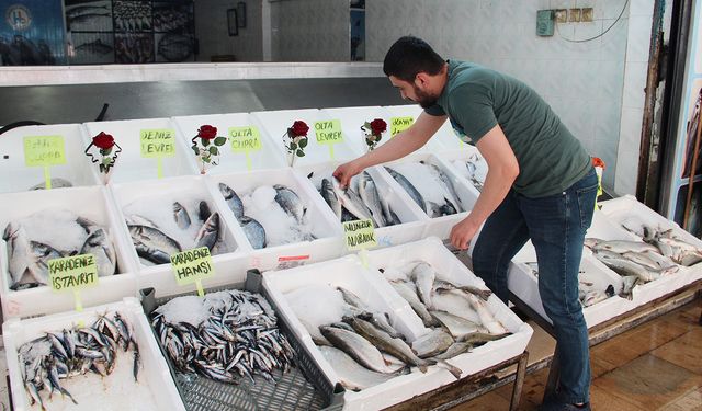 Balık tezgahları boşaldı, fiyatlar arttı!